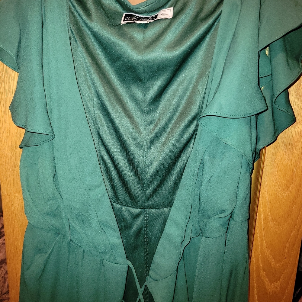Beautiful David's Bridal bridesmaid dress